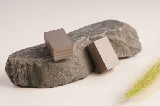 Flat Shape Indonesia Sandstone Segment 24*9*15mm Single Disc Sandstone Cutter Tips Sandwich Layer Segment