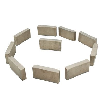 Customized Support OEM Arix Segment Cutting Tip for Long Life and Stone Cutting
