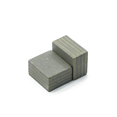 Global Market Diamond Grinding Disc Wheel Sintered Segment for Strong Slabs Grinding