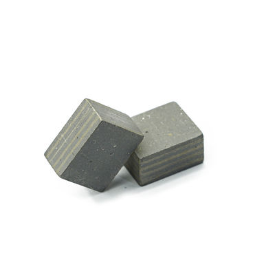 Global Market Diamond Grinding Disc Wheel Sintered Segment for Strong Slabs Grinding