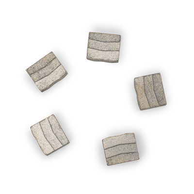 24*8.0/8.8*20.5MM Diamond Segment Customized OBM Support for Hard Sandstone Cutting