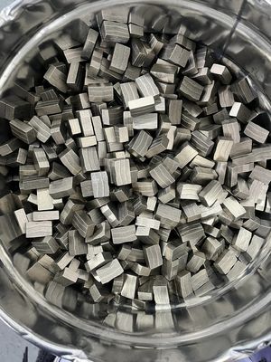 Customized OEM D1300MM Diamond Segment Tips with Metal Powder and Diamond Powder
