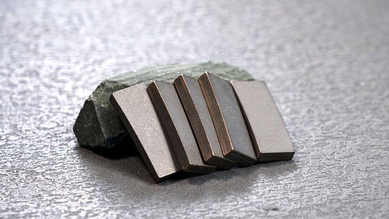 Customized OEM D1300MM Diamond Segment Tips with Metal Powder and Diamond Powder